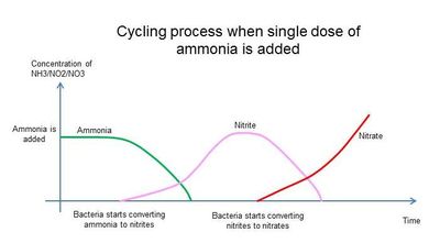 Cycling Process Chart 1