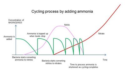 Cycling process chart 2
