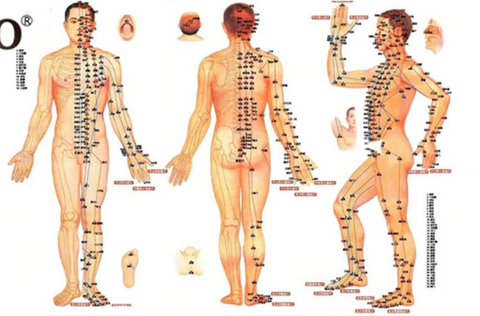 méridien acupuncture