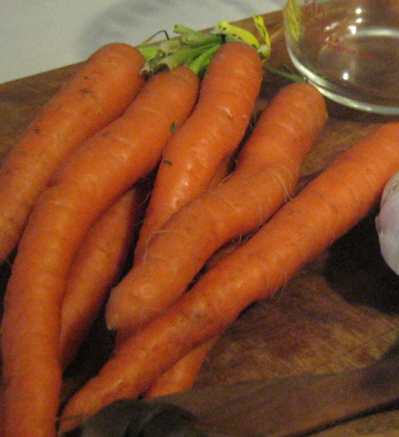 pre fermented carrots