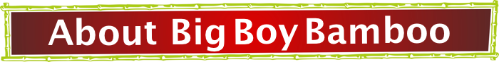 About Big Boy Bamboo