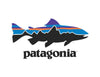Patagonia Corporate Logo
