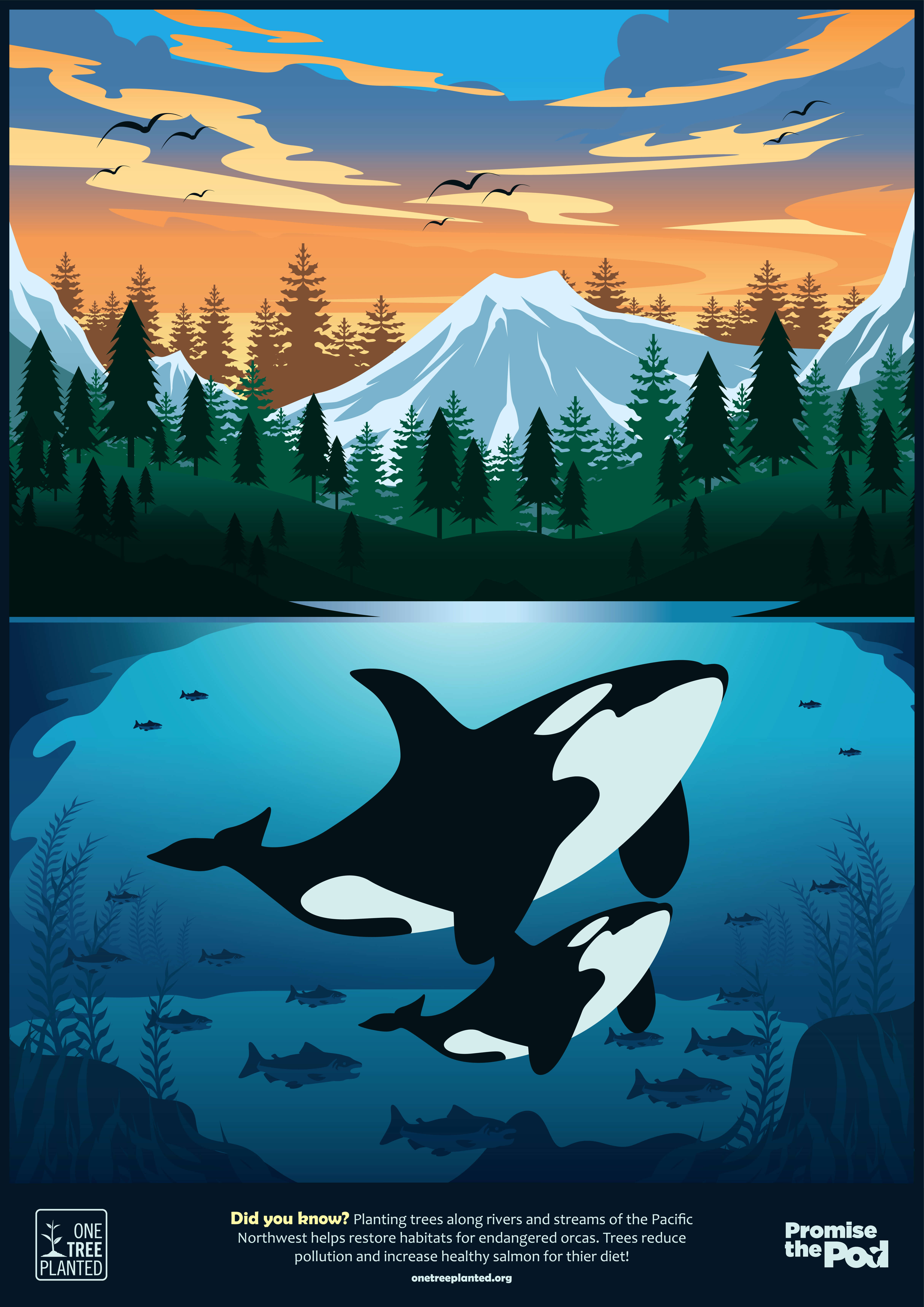 Plant a Tree. Help an Orca One Tree Planted