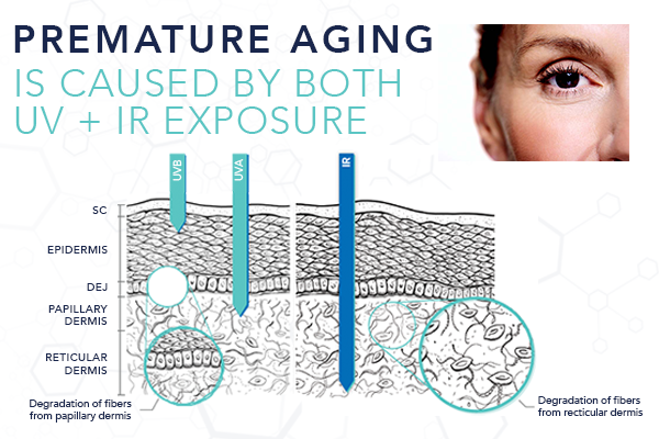 Skincare graphic showing how Airelle combats aging skin