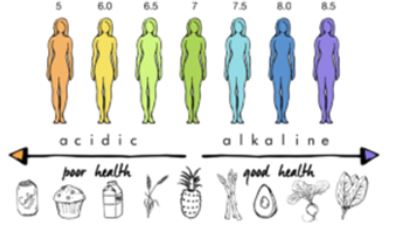 Chart of foods and their pH levels