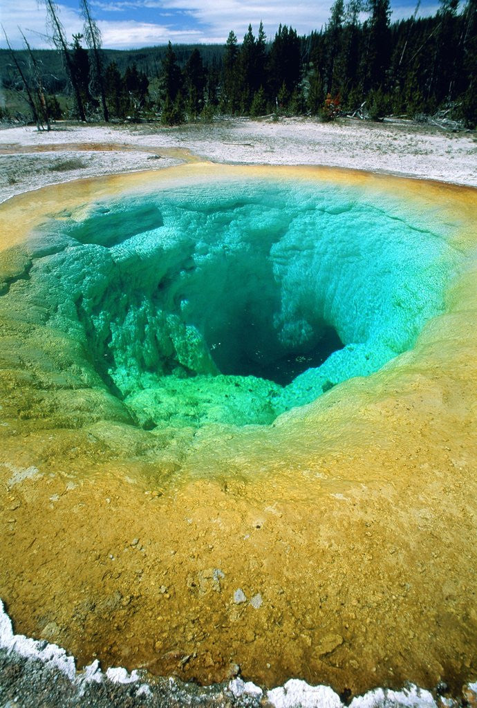 Morning Glory Pool, Yellowstone National Park, Wyoming posters & prints ...