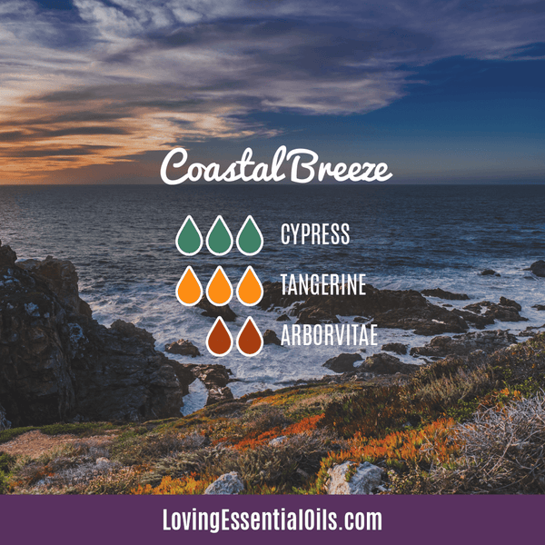Best Smelling Essential Oil Blends by Loving Essential Oils | Coastal Breeze with cypress, tangerine and arborvitae essential oil