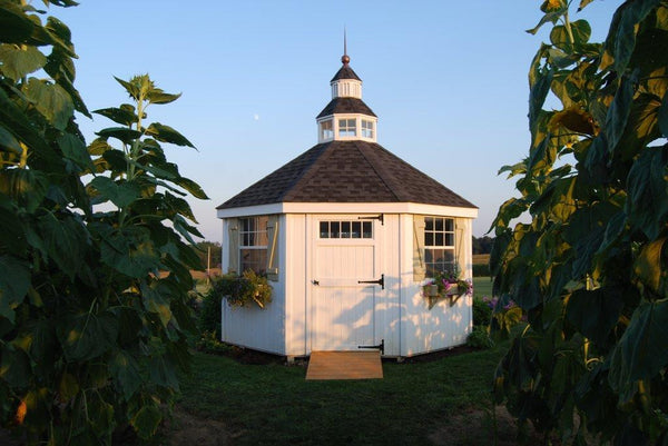 The Garden Shed Greenhouse 12' x 12' – World of Greenhouses