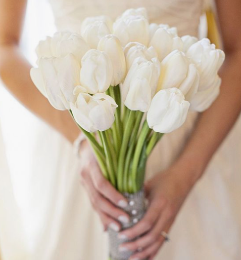 white bridal flowers tulips