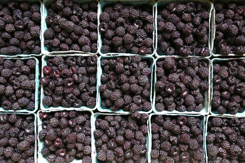 Black Raspberries Under the Tree Farm