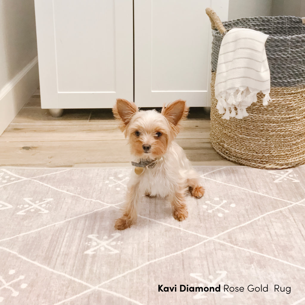 Dog on Kavi Diamond Rose Gold Rug