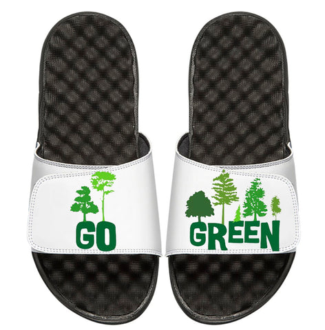 Go Green slides