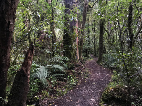 Maungawhero Forest Walk