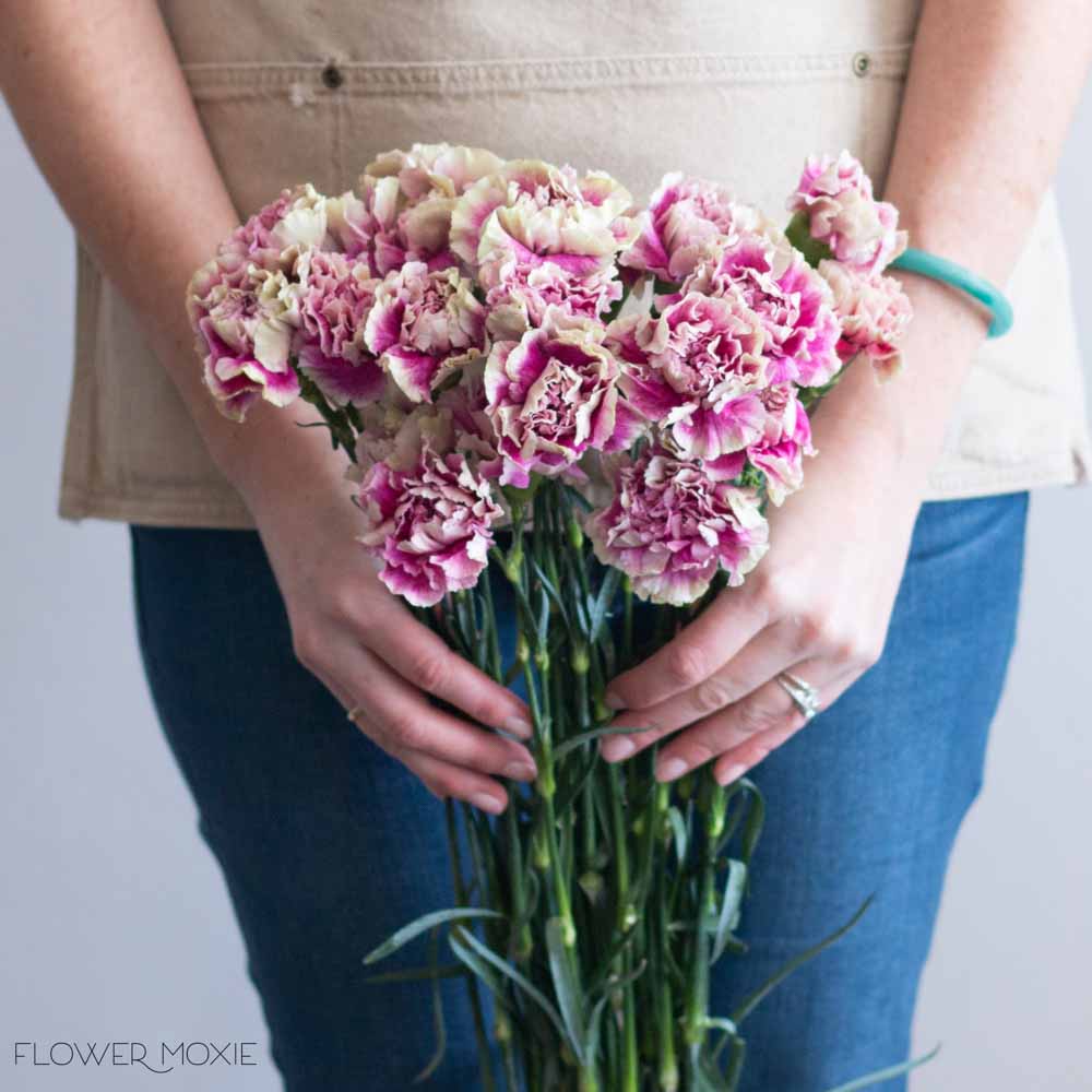 Vintage Pink Carnations | Bulk Fresh DIY Wedding Flowers ...