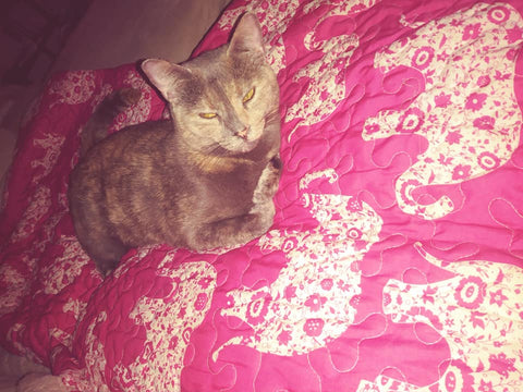 Cat on Elephant Parade Throw