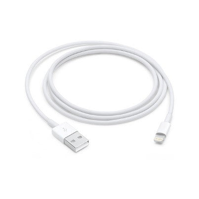 iPhone Lightning Cable - Apple