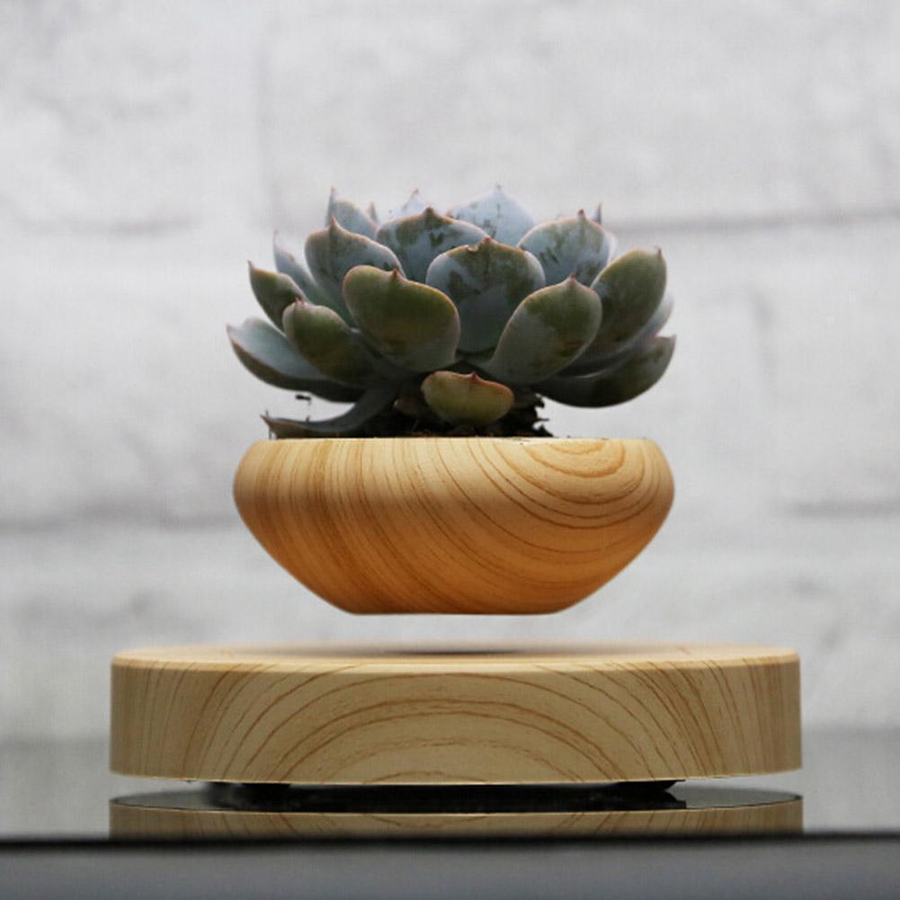 Levitating Floating Plant Pot Hobbies Unleashed