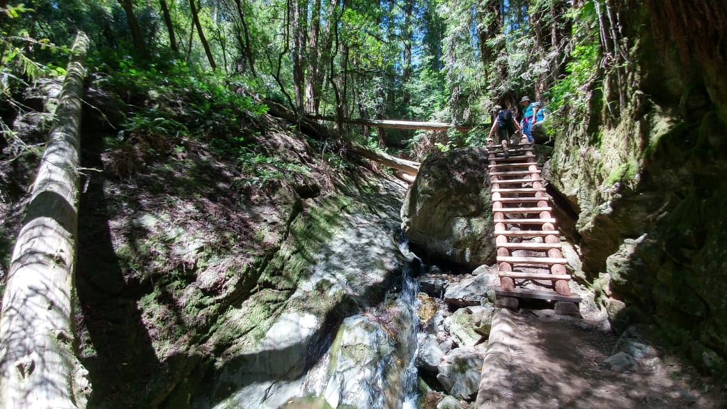 The Dipsea Trail, Marin County, California