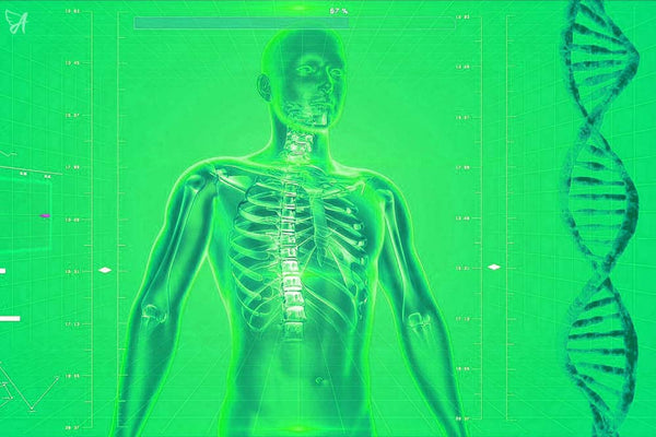 Green skeleton graph