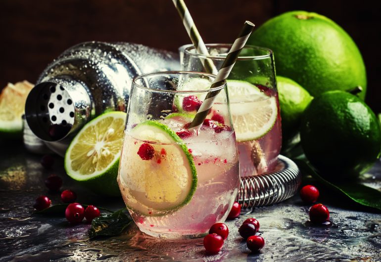 CRANBERRY, FINGER LIME AND GIN COCKTAIL