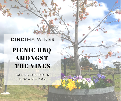 DINDIMA WINES BBQ