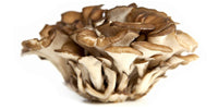 Teelixir certified organic maitake mushroom extract powder grifola frondosa