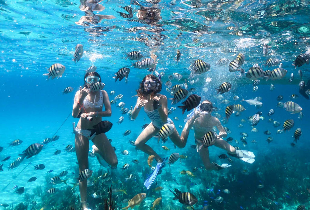 Swimming with Tropical Fish in Crystal Clear waters of the Bahamas