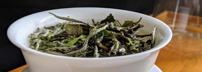 Many teas should not be rinsed, but a few styles can benefit from a quick initial rinse