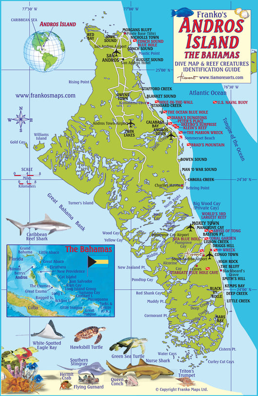 Bahamas Andros Fish Card S1 530x ?v=1483463386