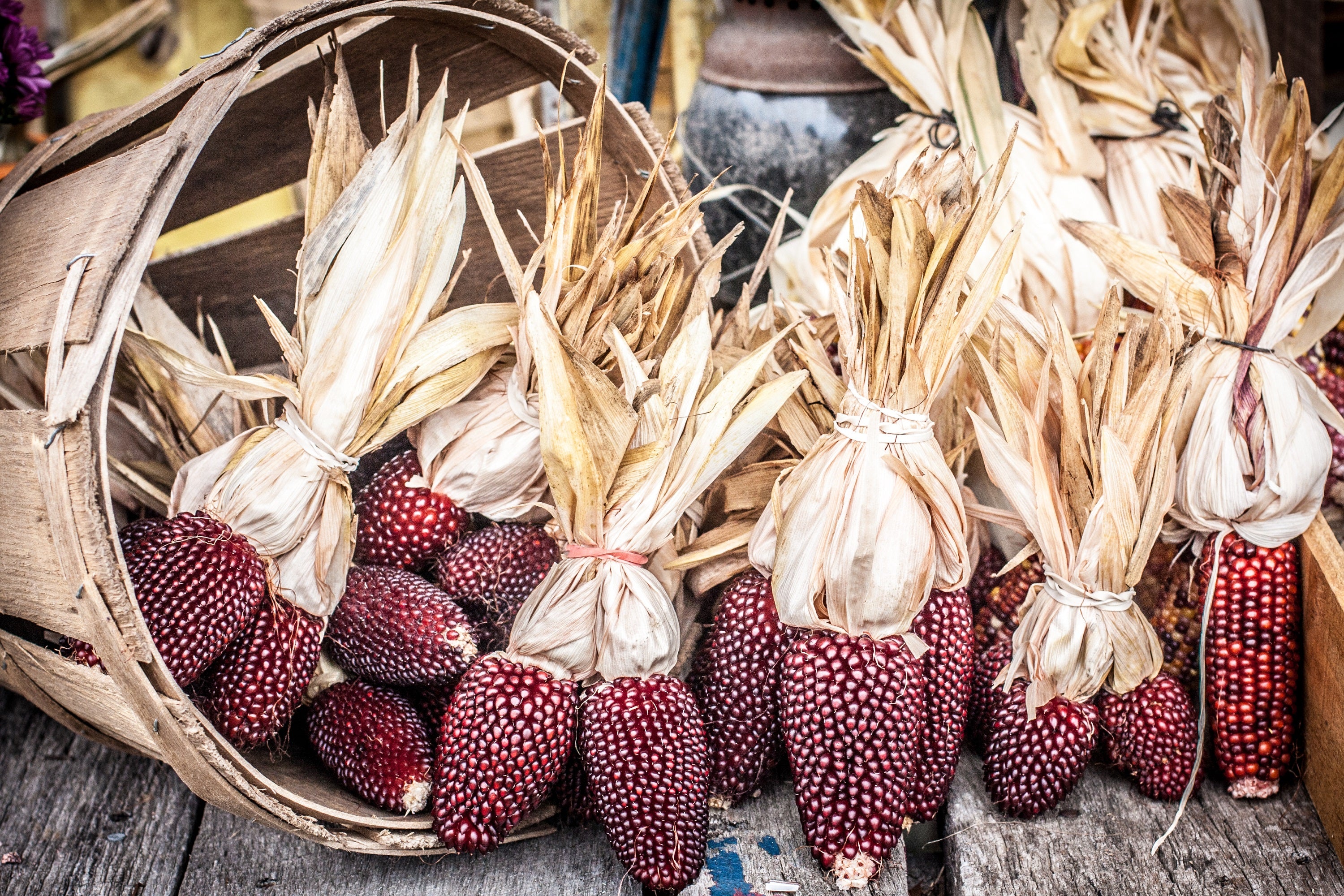Corn, Strawberry Ornamental Hometown Seeds