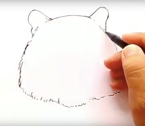 draw the ears of a tiger