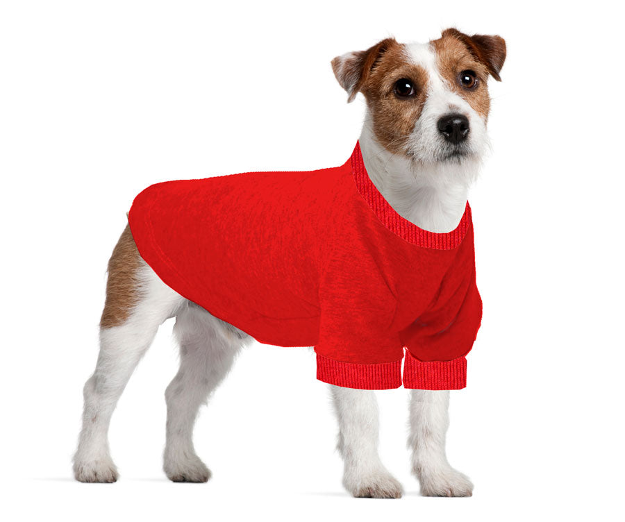 Jack Russel / Rat Terrier Long T-Shirt - Fits 9 to 12 Pound Dog - Avai ...