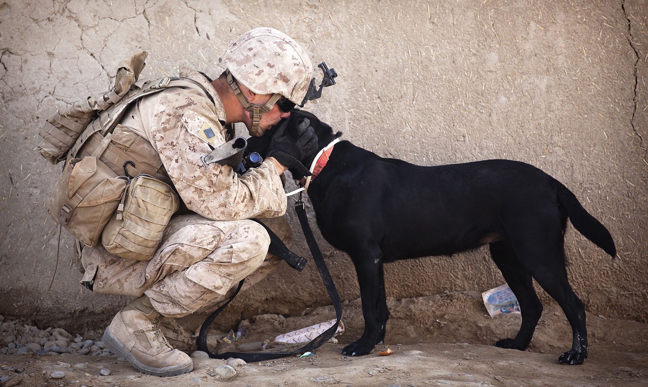 Soldier with dog