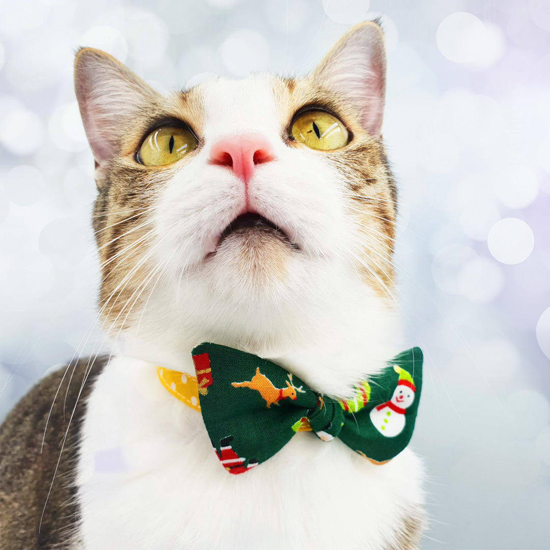 Surprise Christmas Bow Cat Collar | Sneaky Whiskers