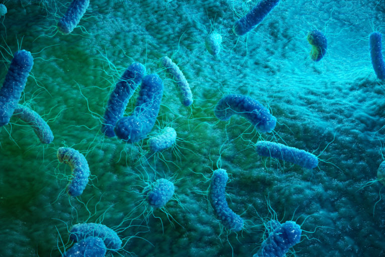 Gut Bacteria | HealthMasters
