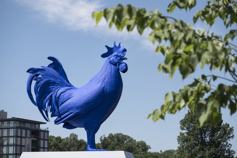 Blue Rooster in Minneapolis Sculpture Garden 