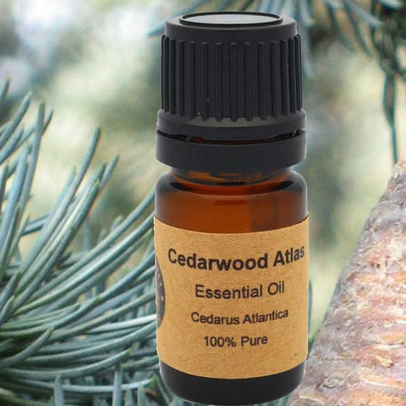 Cedarwood Atlas Essential Oil – Best Natures