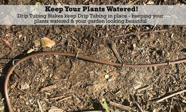 Keep Your Plants Watered! Drip Tubing Stakes keep Drip Tubing in place - keeping your plants watered & your garden looking beautiful