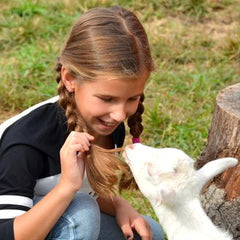 Baby Goat Experience