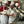 Full-Day Culinary Bootcamp Gift Certificate
