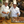 Full-Day Culinary Bootcamp Gift Certificate