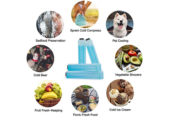 Reusable Ice Packs