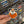 Laughing Duck Hunt Dog Sticker Slap 2.1 x 2.5 inch